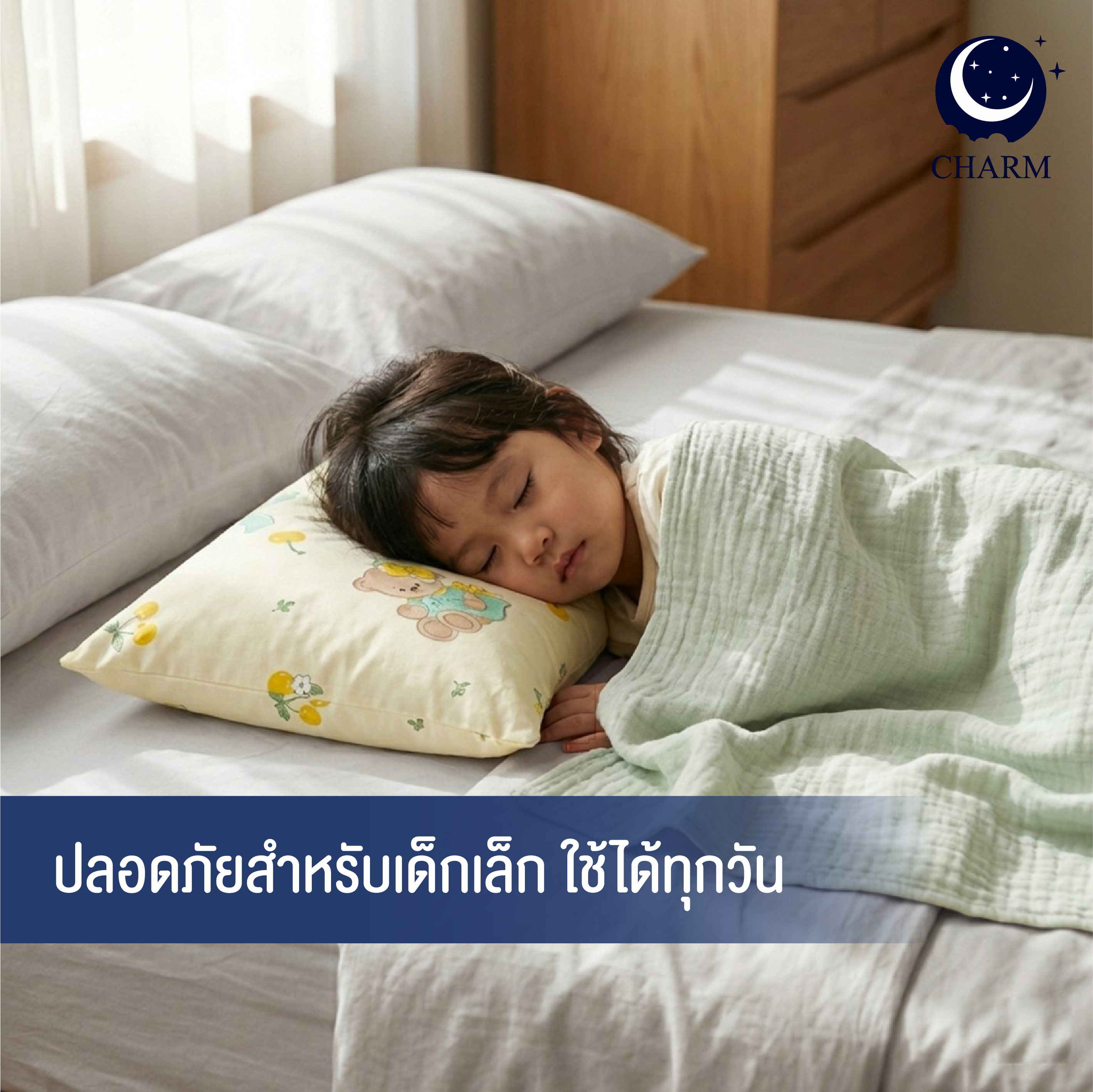 หมอน CHARM 1 ใบ (คละลาย) หมอนอเนกประสงค์ 35X50 ซม._9
